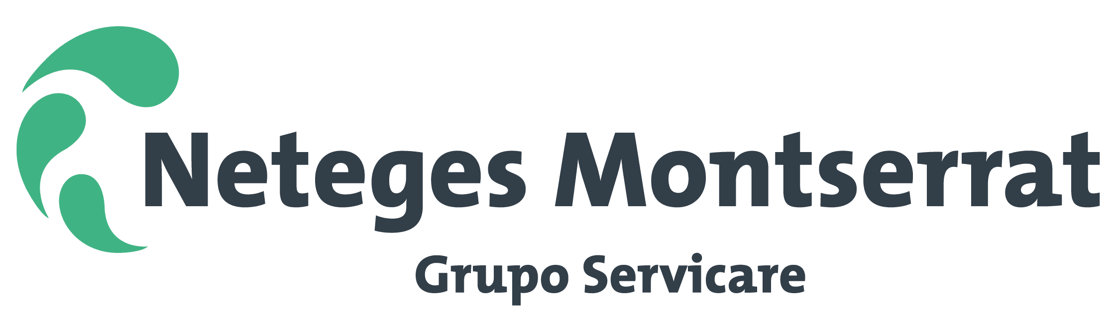 Logotipo Neteges Montserrat